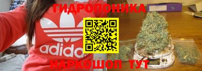 сатива Краснодар
