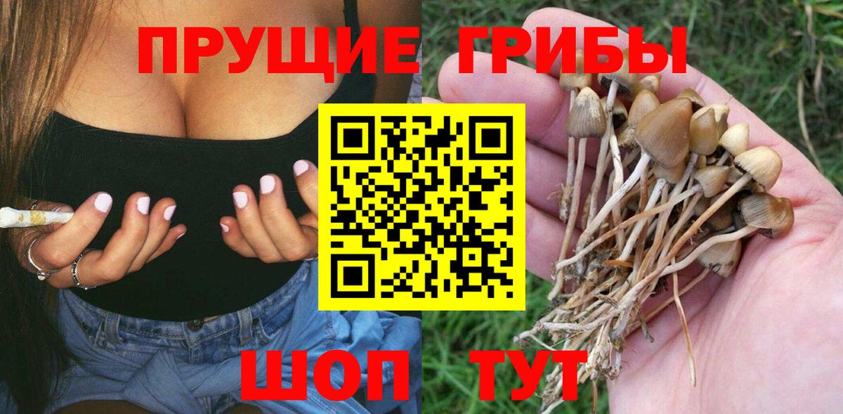 Галлюциногенные грибы Cubensis Коряжма