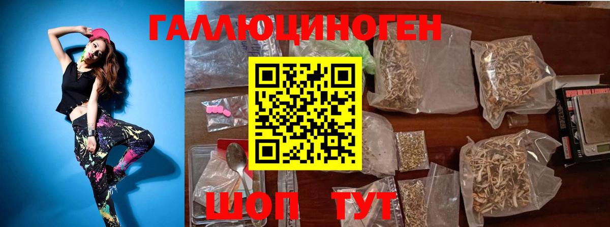 Галлюциногенные грибы MAGIC MUSHROOMS  наркошоп  Псилоцибиновые грибы Magic Shrooms  Коряжма  Вход с VPN 